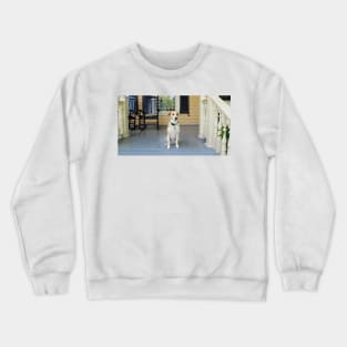 Good Dog Crewneck Sweatshirt